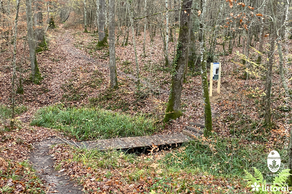 Le franchissement d'un ru s'intègre parfaitement dans la forêt